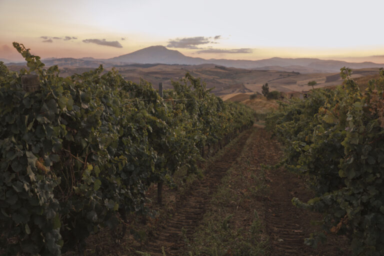 Vigneti Tasca d'Almerita