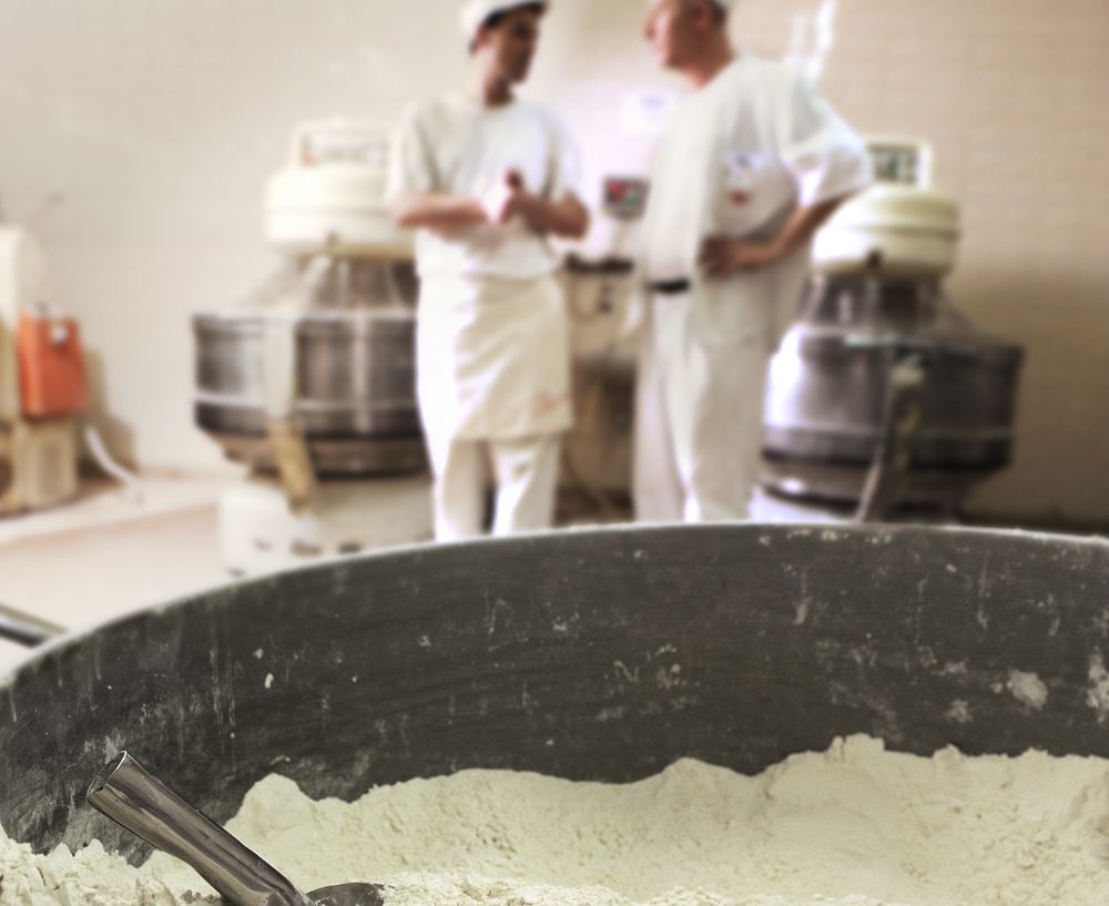 Bread factory surveillance, wheat and two workers
