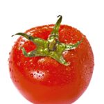 Fresh juicy tomato isolated over white