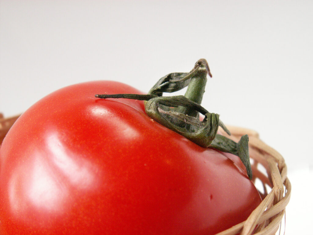 tomato