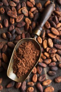 cocoa beans and retro scoop with cocoa powder