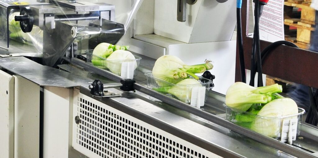 Packaging machine food industry