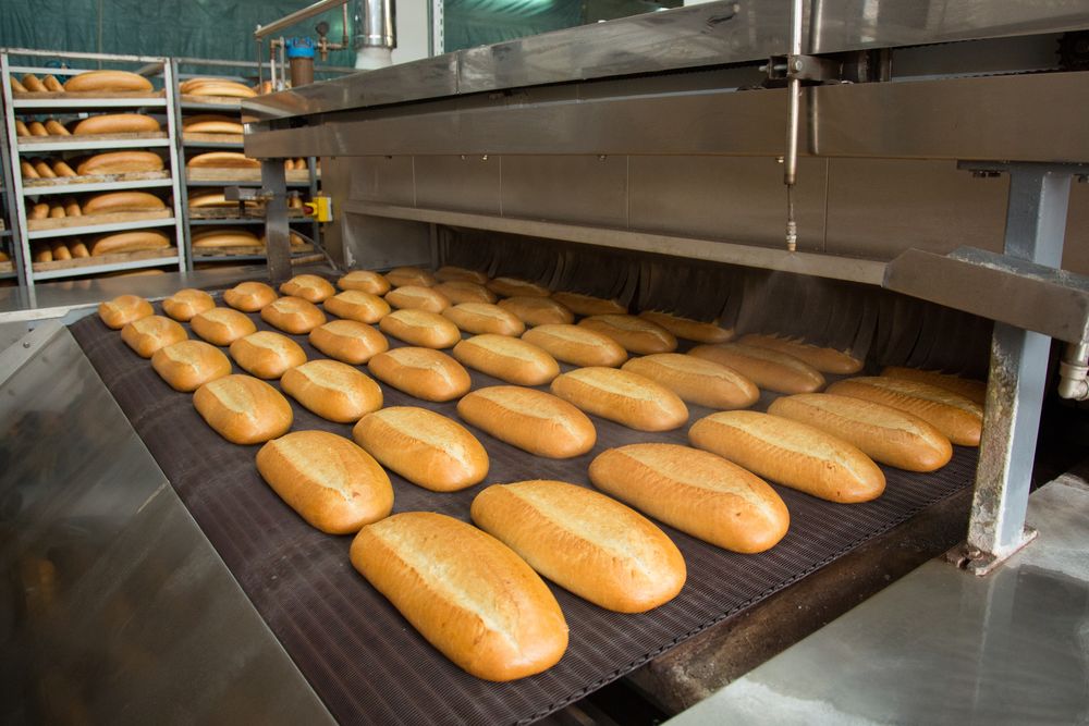 Fresh hot baked bread loafs on the production line