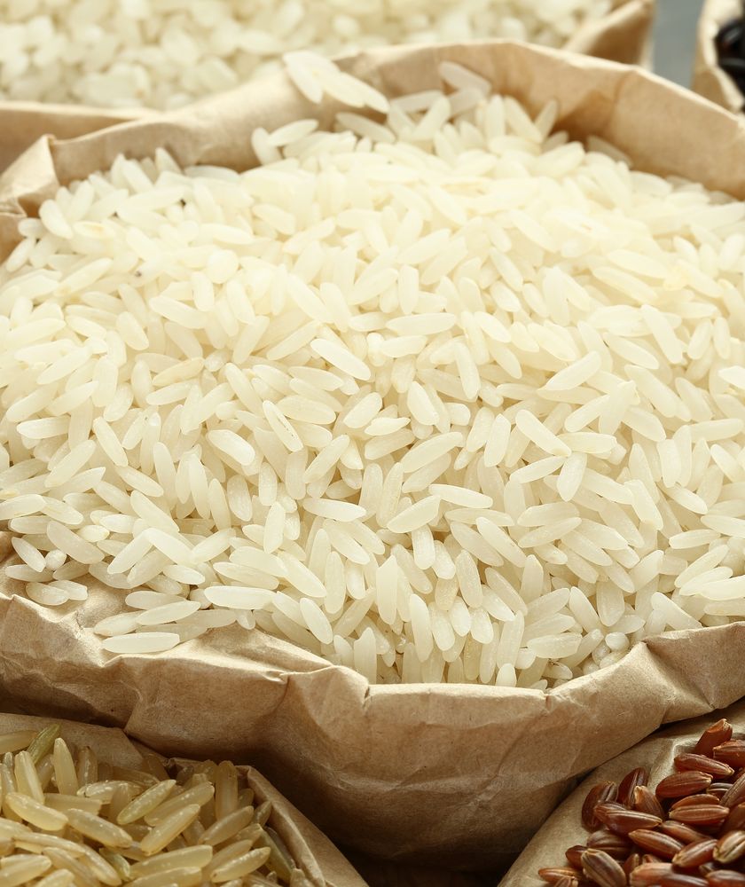 DNA mitocondriale e sicurezza alimentare