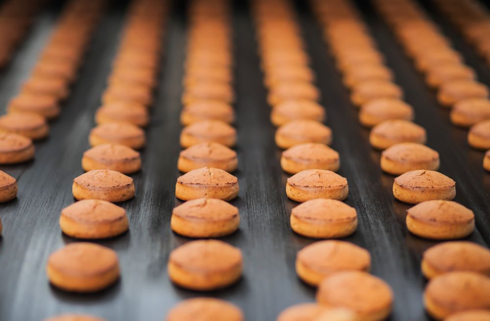 Honey-cake  on the production line at the bakery