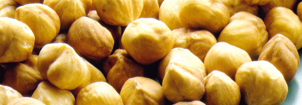 tavoletta cioccolato con nocciole tostate / fondo verde ALPROS018CK01.eps