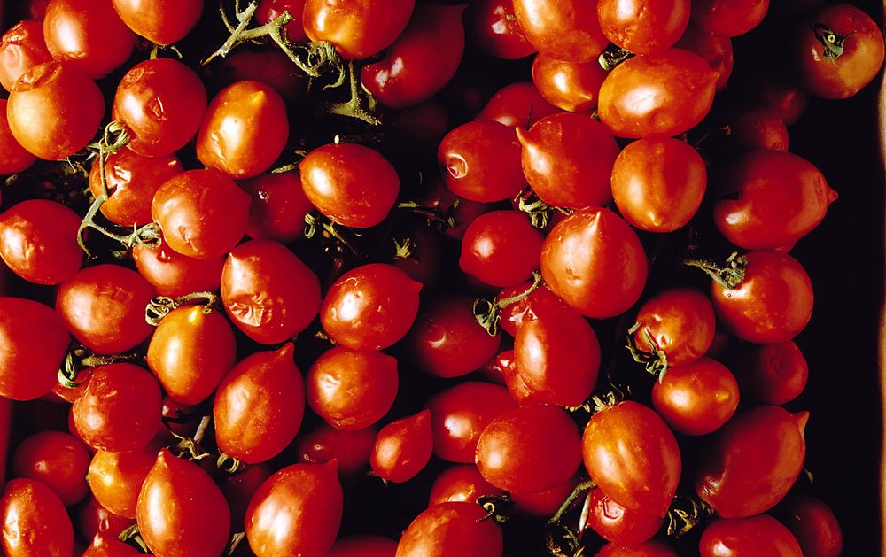 pizza cassetta con pomodori ramati ALIPIZ013CK04.eps