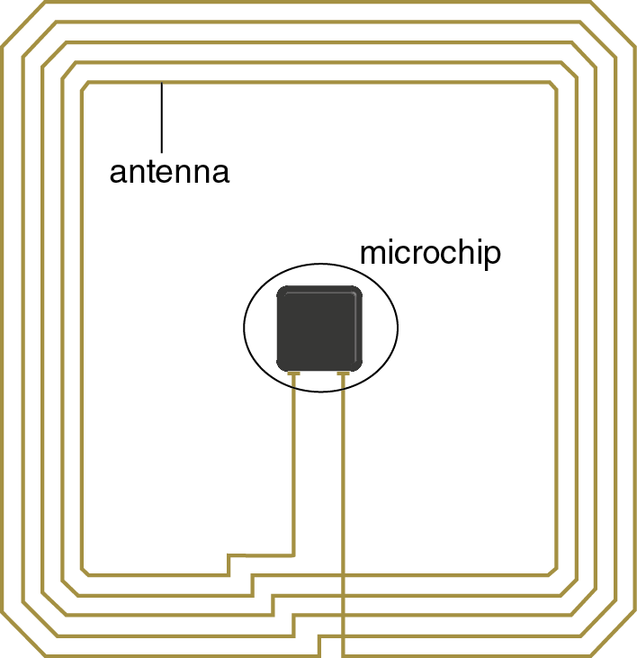 Fig. 2 – Schema di un’etichetta RFID