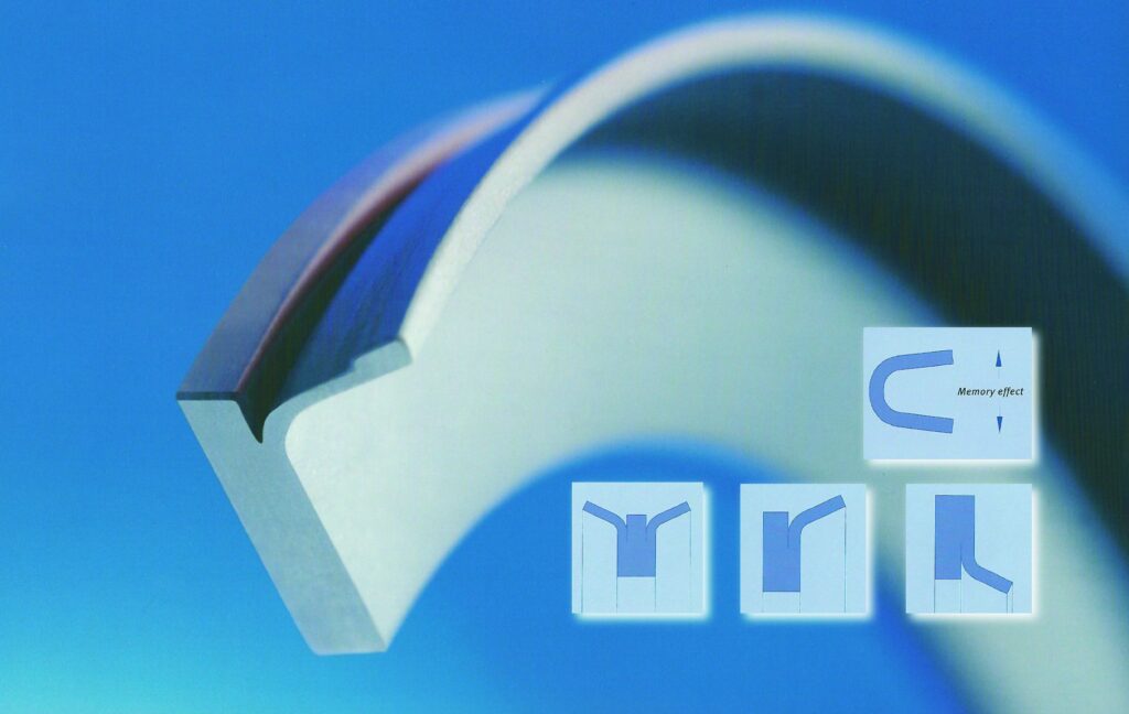 foto 3-Guarnizioni  Memory