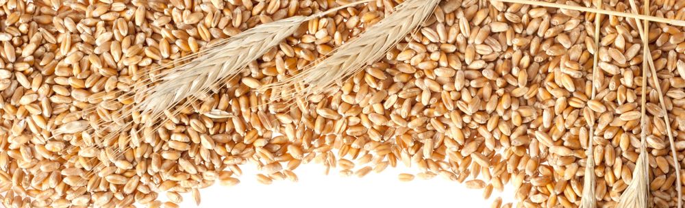 shutterstock_82868086