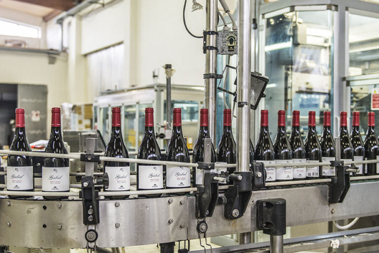 imbottigliamento Casa Vinicola Fazio